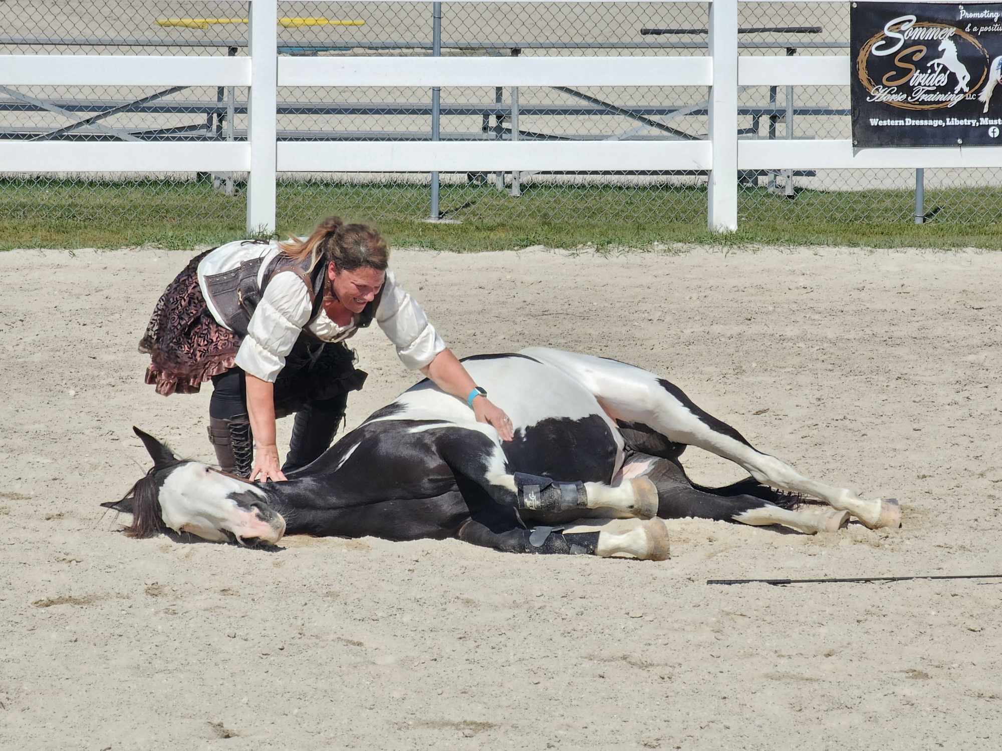 Horse and handler in a connected moment